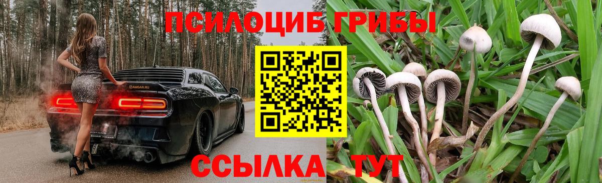 НБОМе Россия