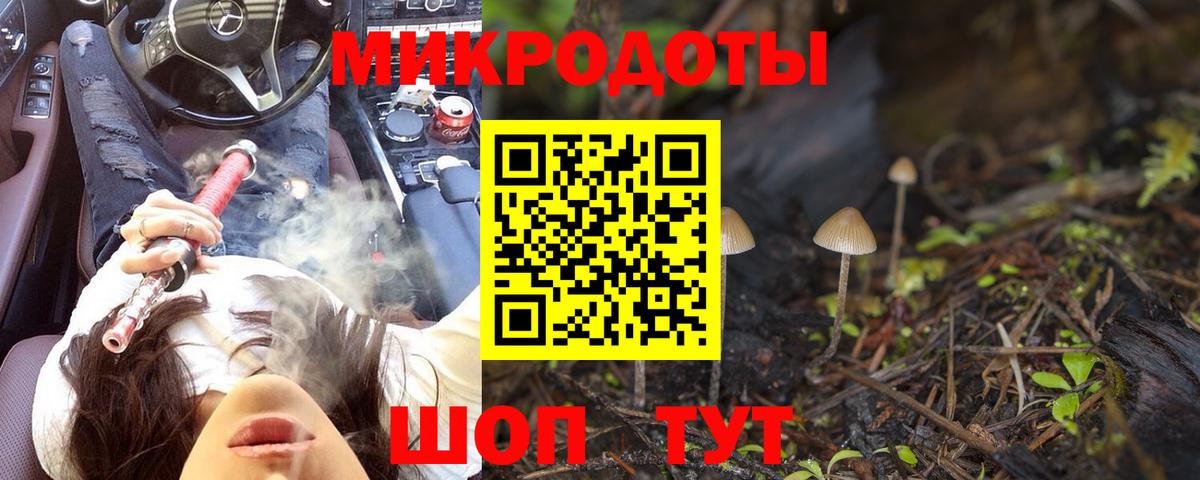Псилоцибиновые грибы Psilocybine cubensis  Галлюциногенные грибы мухоморы  Россия  Вход с VPN 