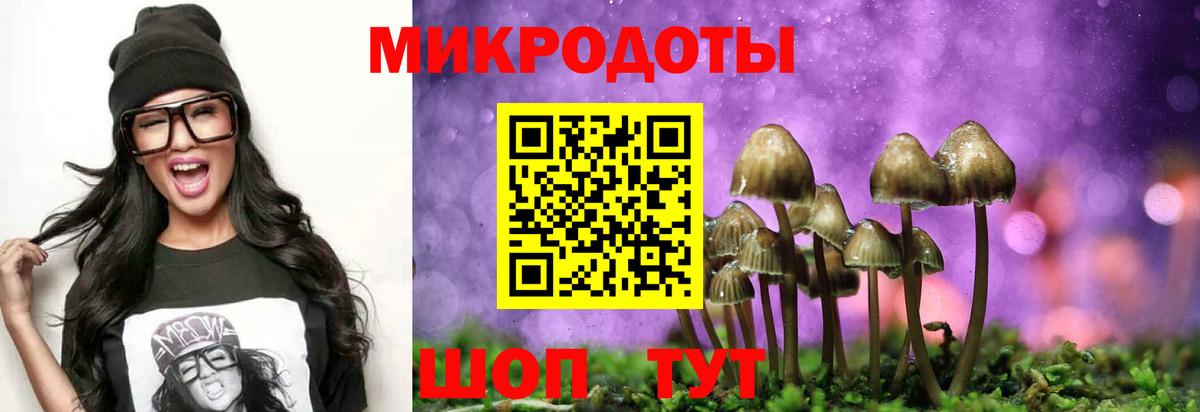 Псилоцибиновые грибы Magic Shrooms Россия
